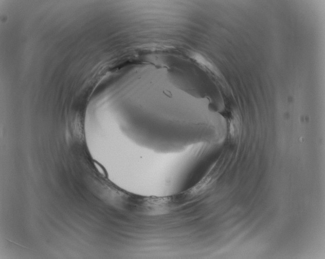 X0000074010143200609111633