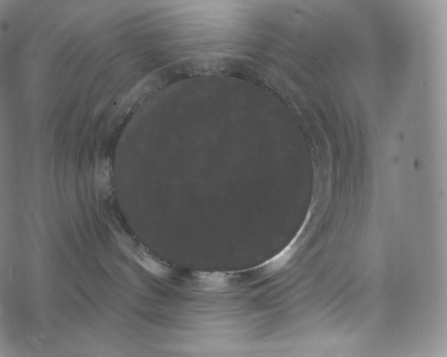 X0000074010144200609111633