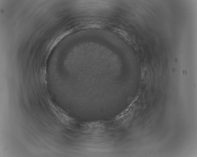 X0000074010146200609111632