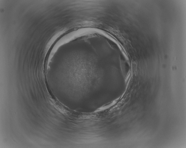 X0000074010147200609111632