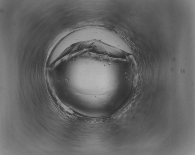 X0000074010148200609111632