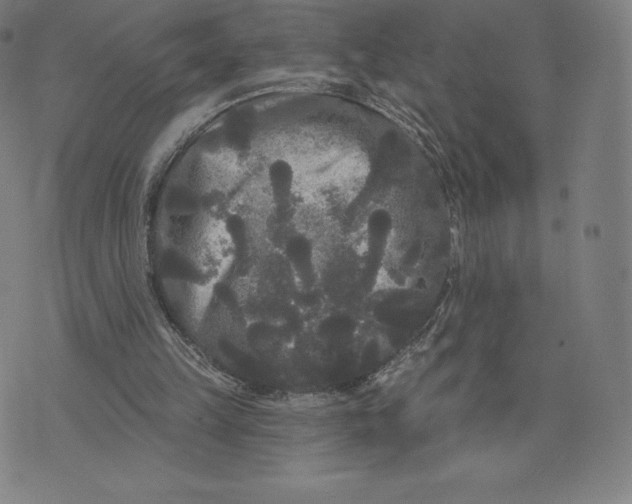 X0000074010149200609111632