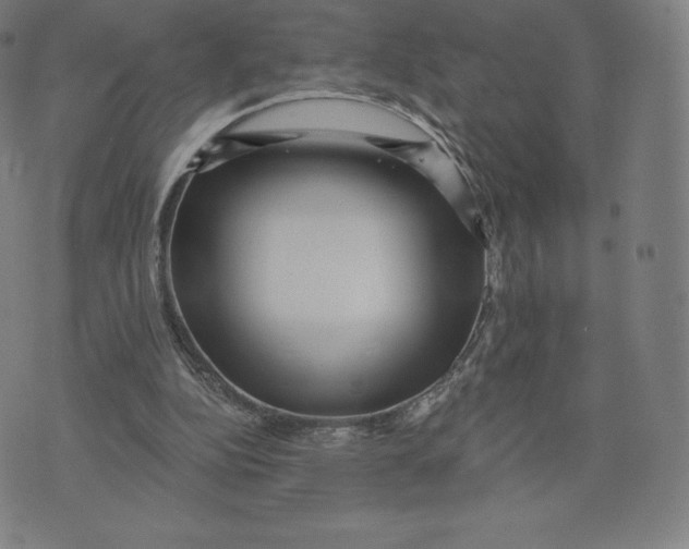 X0000074010152200609111632