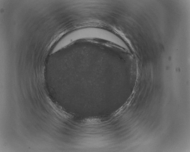 X0000074010154200609111632