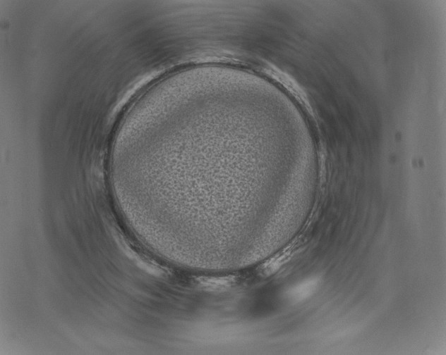 X0000074010155200609111632