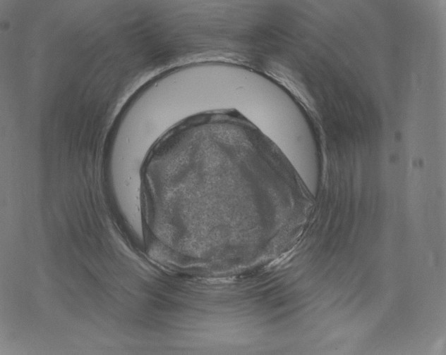 X0000074010156200609111632