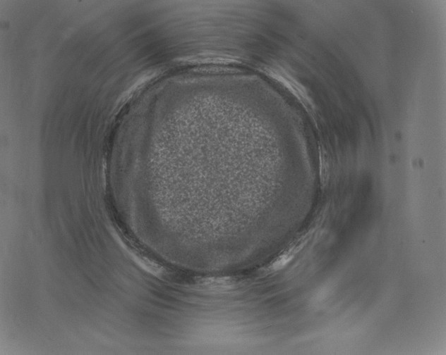 X0000074010157200609111632