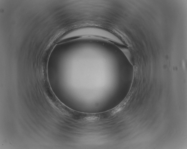 X0000074010158200609111632