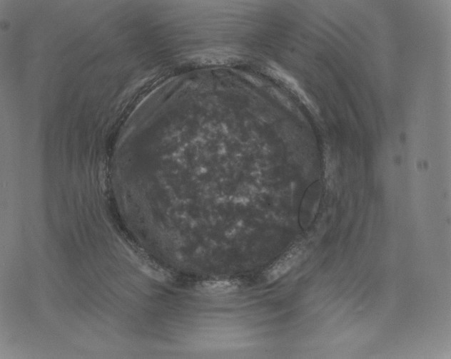 X0000074010161200609111632