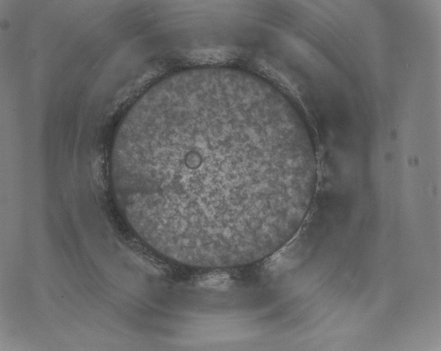 X0000074010162200609111632