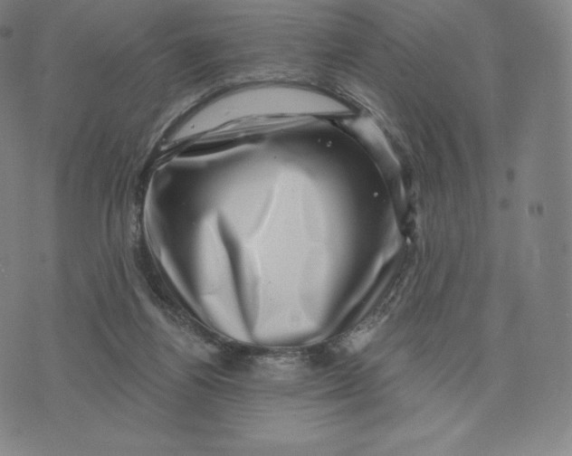 X0000074010164200609111632