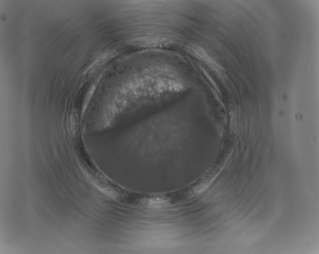 X0000074010165200609111632