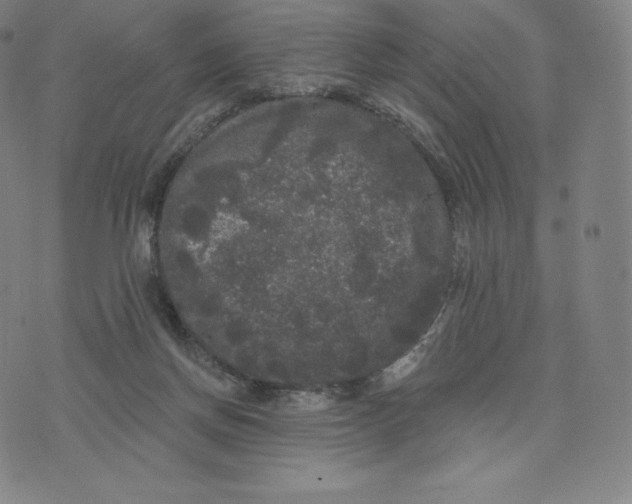 X0000074010166200609111632