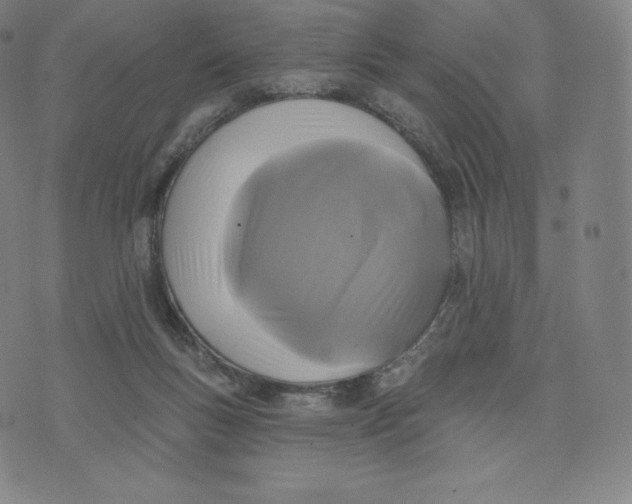 X0000074010167200609111632