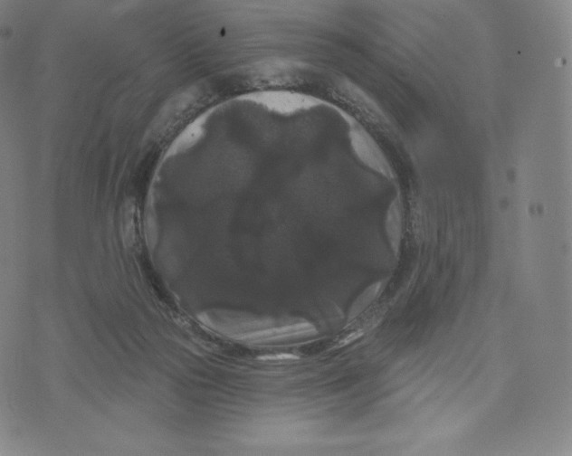 X0000074010169200609111632