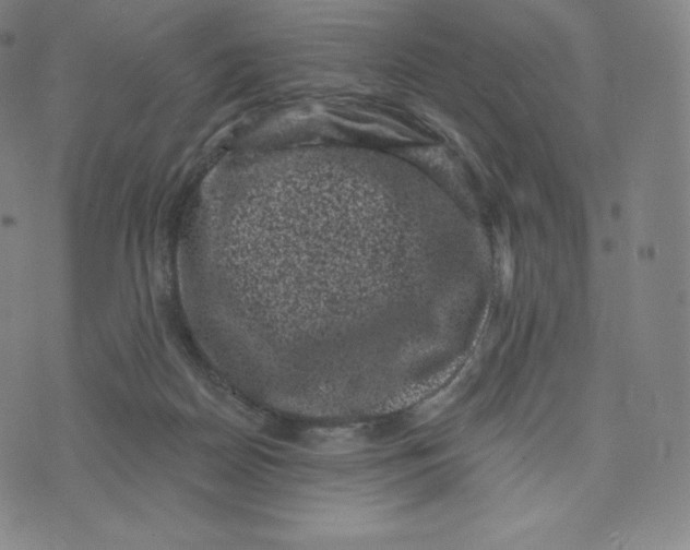 X0000074010170200609111632