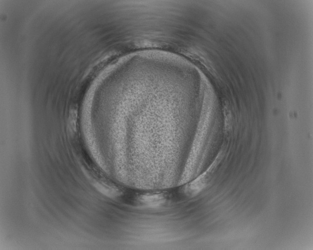 X0000074010171200609111632