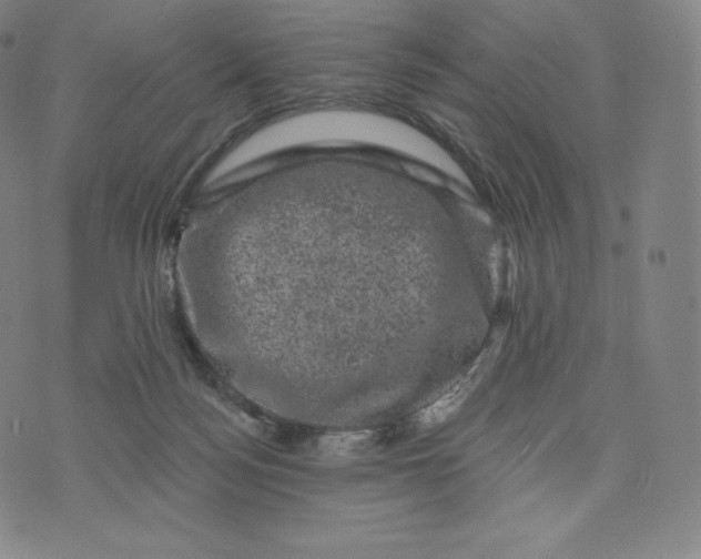 X0000074010172200609111633