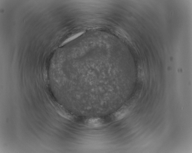 X0000074010173200609111633