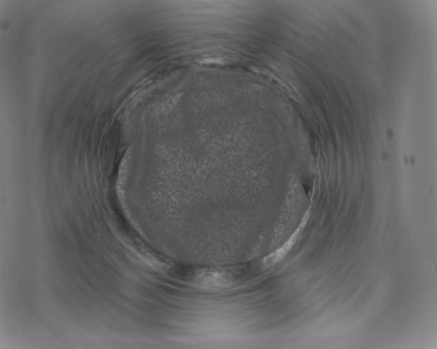 X0000074010174200609111633