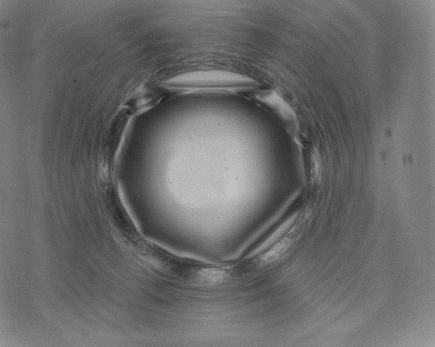 X0000074010176200609111633