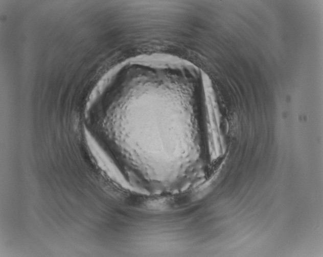 X0000074010178200609111633