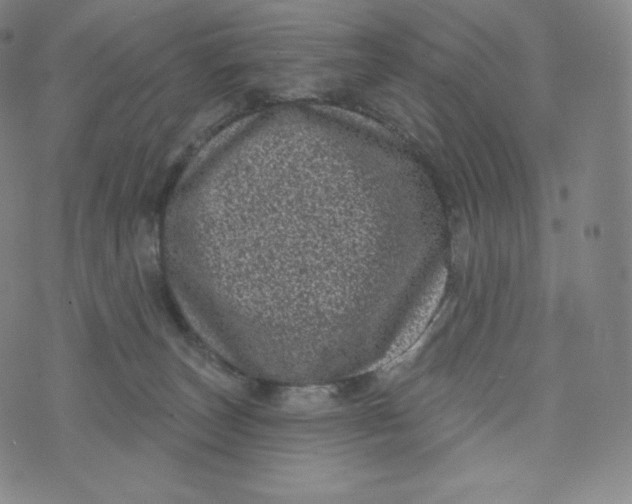 X0000074010179200609111633