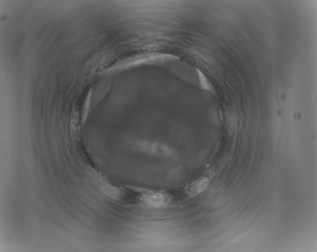 X0000074010181200609111633