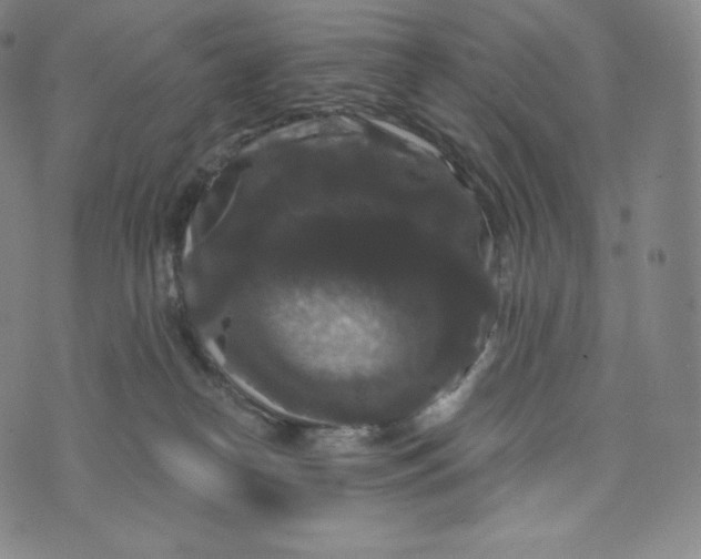 X0000074010182200609111633