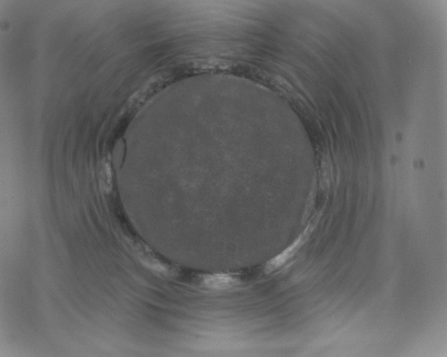 X0000074010183200609111633