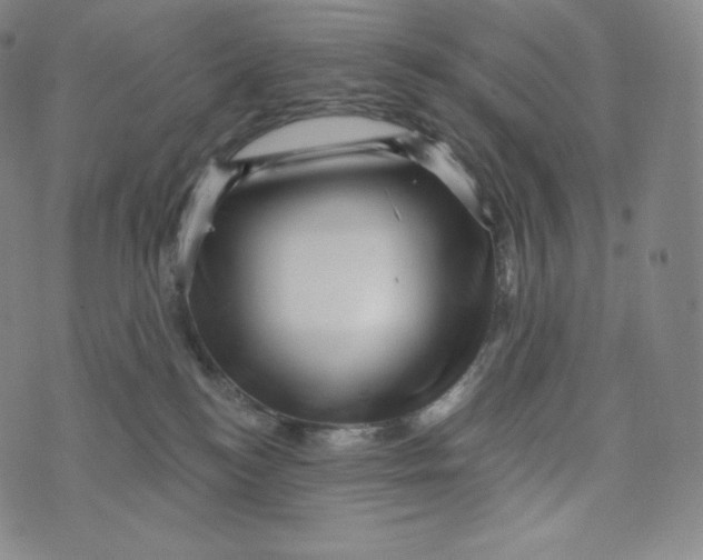 X0000074010184200609111633