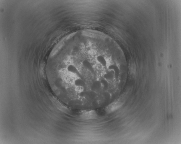 X0000074010185200609111633