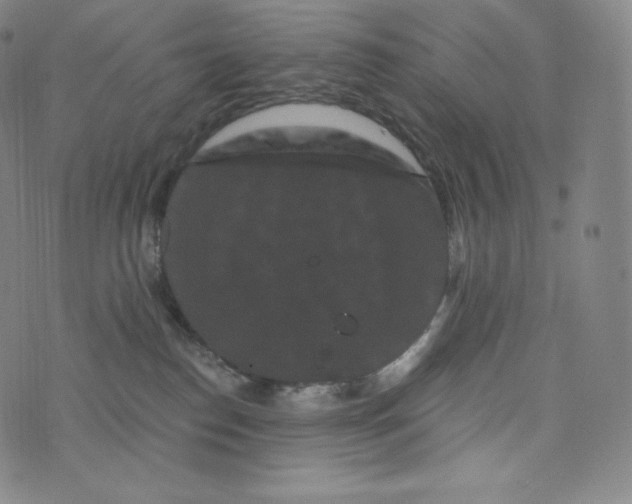 X0000074010186200609111633