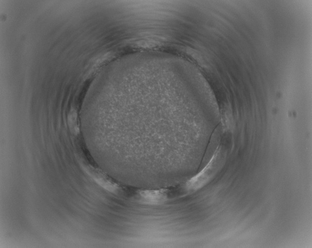 X0000074010187200609111633