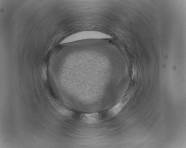 X0000074010188200609111633