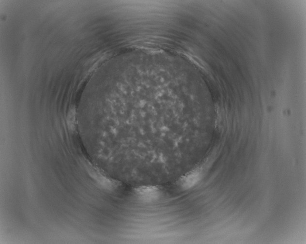 X0000074010189200609111633