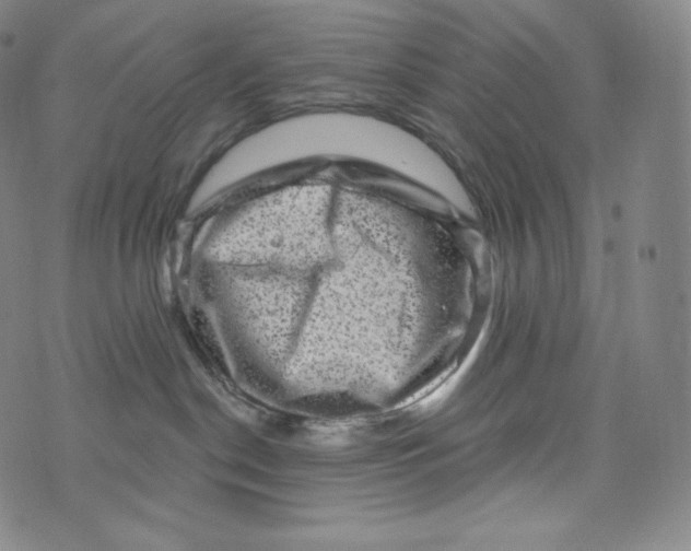 X0000074010190200609111633