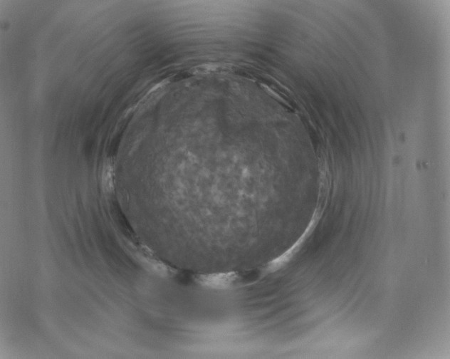 X0000074010191200609111633