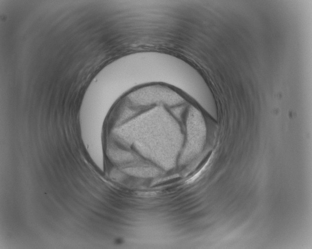 X0000074010192200609111633