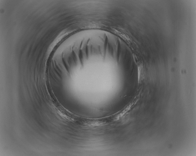 X0000074010195200609111632