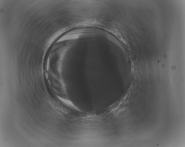 X0000074010196200609111632