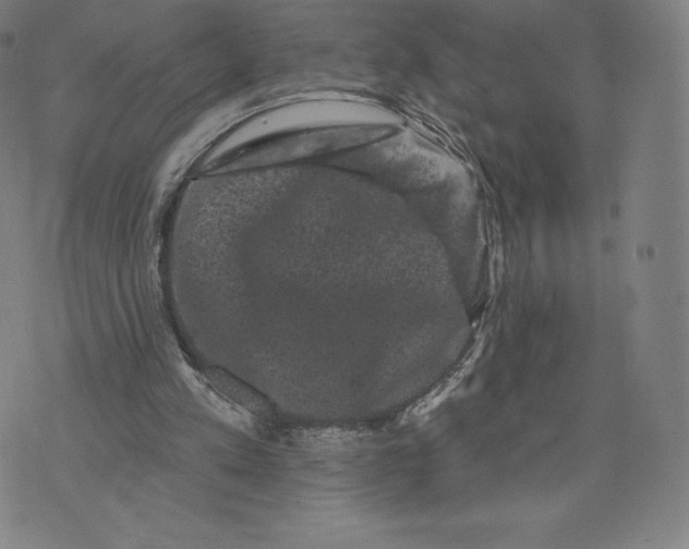 X0000074010197200609111632