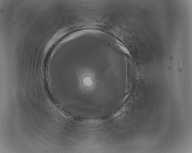 X0000074010198200609111632