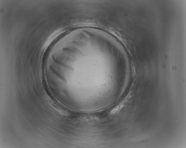 X0000074010199200609111632