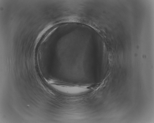 X0000074010200200609111632