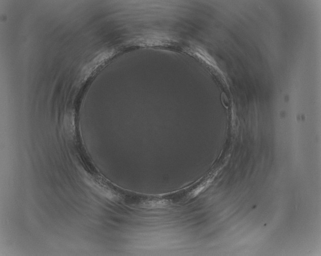 X0000074010202200609111632