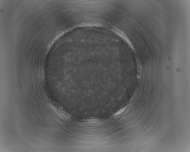 X0000074010204200609111632