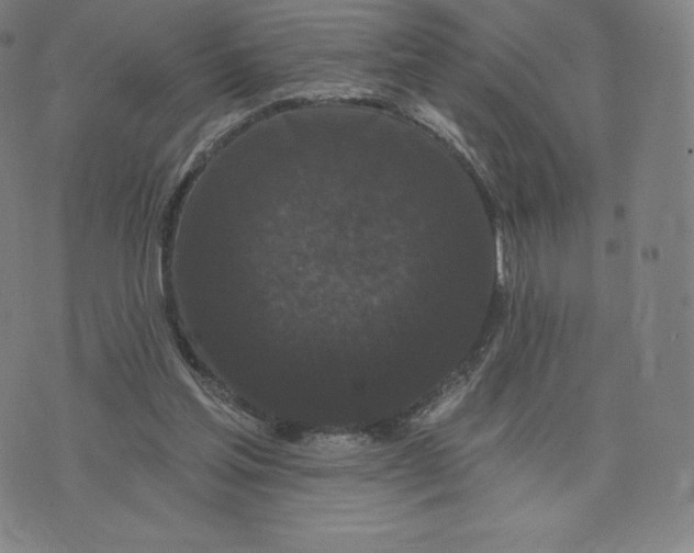 X0000074010205200609111632