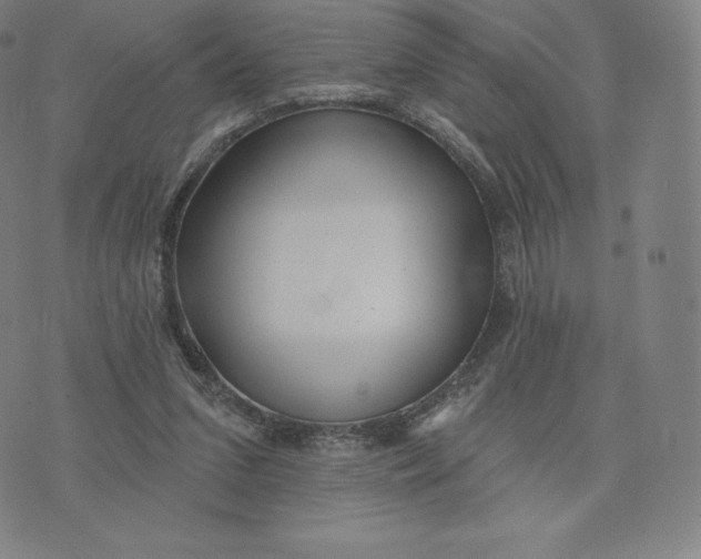 X0000074010207200609111632