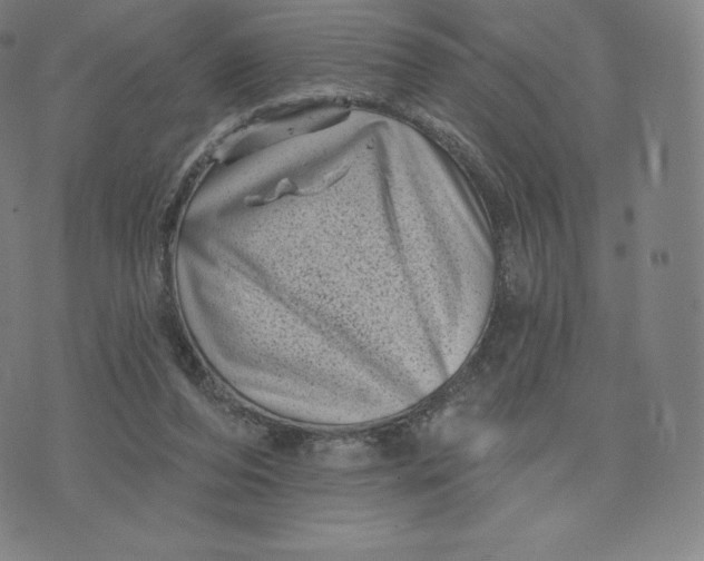 X0000074010208200609111632